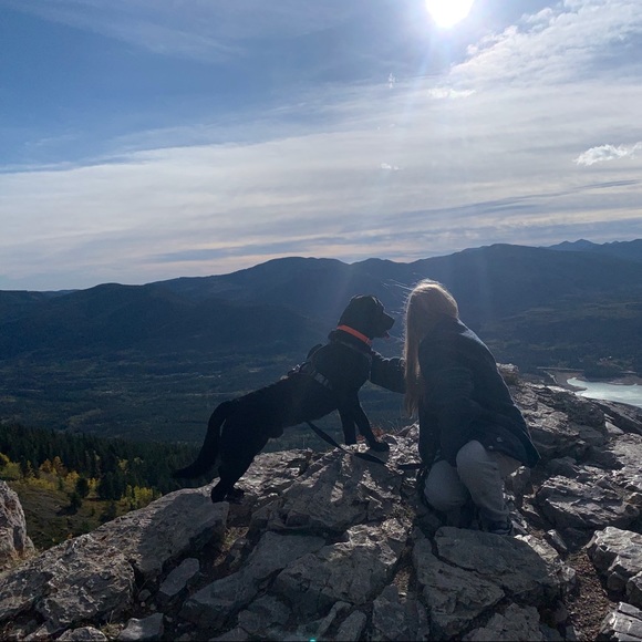 Meet your Posher, Lilly - Picture 1 of 1